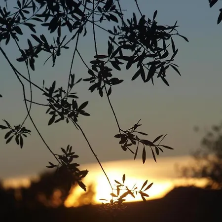 Appartamento Con Estilo Y Acogedor