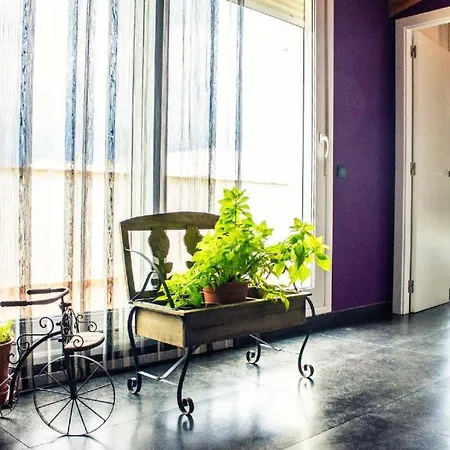 Appartamento Con Estilo Y Acogedor